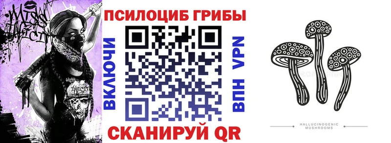 Псилоцибиновые грибы MAGIC MUSHROOMS  Нефтегорск 
